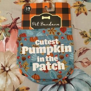 NWT! Cute Fall Dog Scarf
